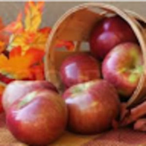 Meet your Posher, Ramona